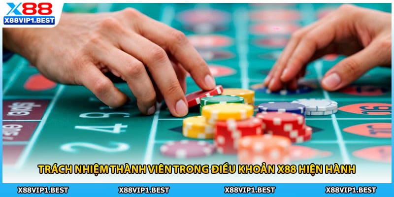 Trách nhiệm thành viên trong điều khoản X88 hiện hành
